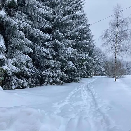 Near The Schwarza Valley *