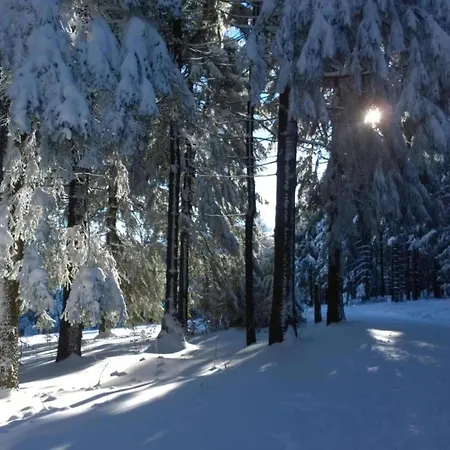 Near The Schwarza Valley *