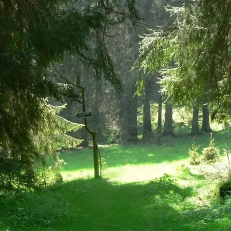 Near The Schwarza Valley * Grossbreitenbach