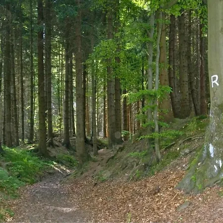 Σπίτι διακοπών Near The Schwarza Valley *