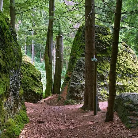 Near The Schwarza Valley Σπίτι διακοπών Grossbreitenbach
