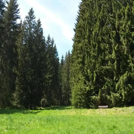 Near The Schwarza Valley *