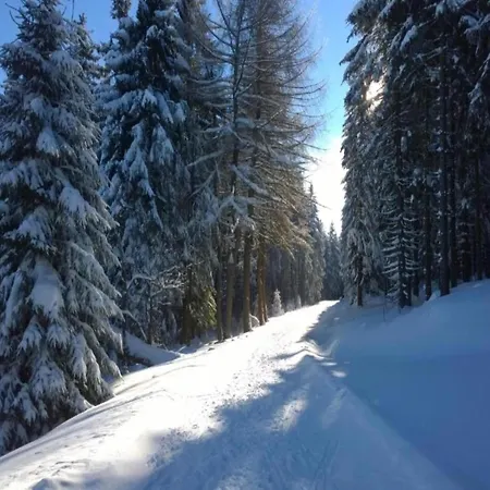 Near The Schwarza Valley * Grossbreitenbach