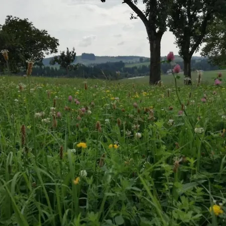 Near The Schwarza Valley *